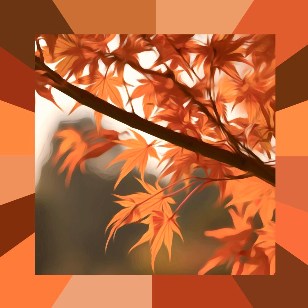 Erweiterte Farbpaletten: Warm Autumn